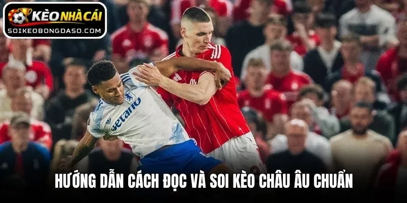 Hướng dẫn cách đọc và soi kèo châu Âu chuẩn